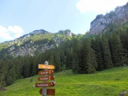 Hochgernzour