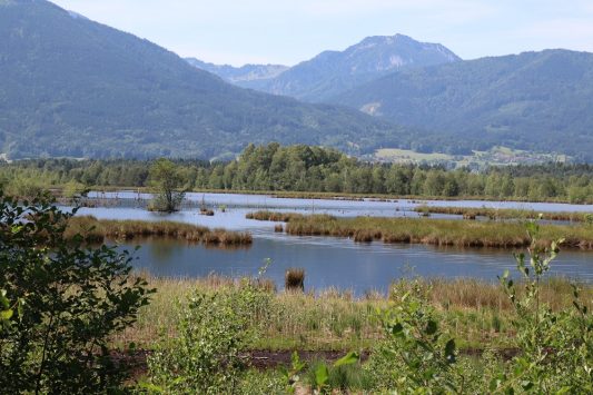 Ramsar_Zertifikat Foto_3