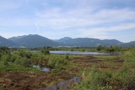 Ramsar_Zertifikat Foto_4