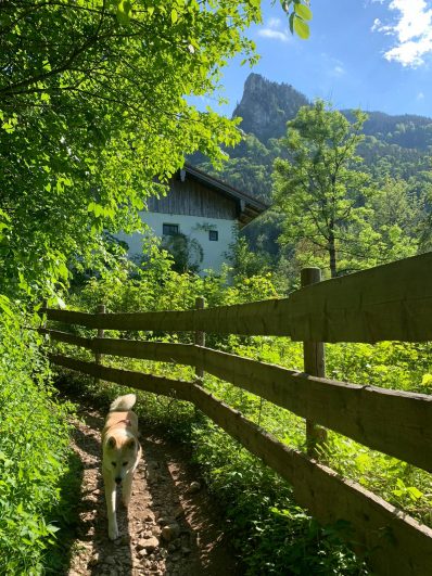 dc1f25be232948d4a3782acf8a373922