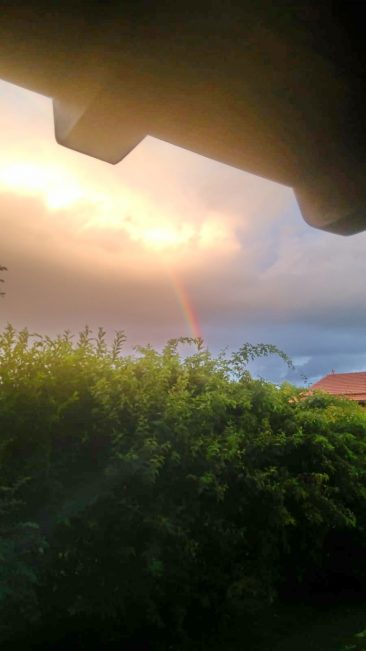 0016fe1c-07a1-4d48-a78a-b0efb6b7dce6