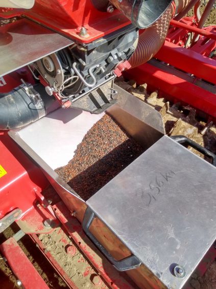 1Blühstreifenaktion MR 2