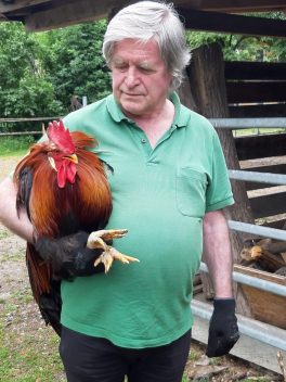 9ad35ab0-3d9b-4b8f-8b0e-6c1f342180cc