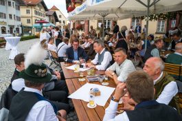 Denkmal-Guttenberg-1010265