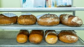 Heimische-Brote-im-Test-1430014