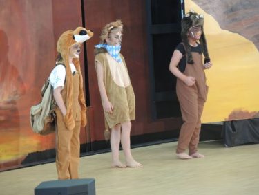 Löwenkini Timon und Pumbaa