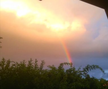 bc658c46-123a-4922-a2d8-0c41c75dea4f