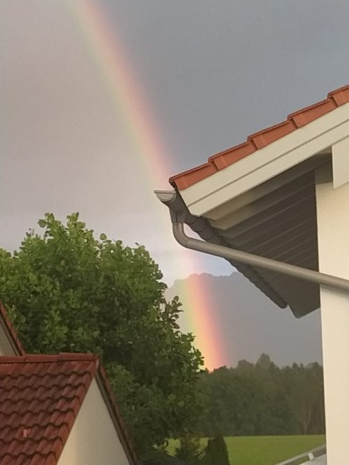 c5c391b6-8f7a-451a-995d-bba1cac47dd3