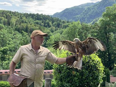 kl-Falknerei Burg Hohenaschau_Foto H. Reiter (6)