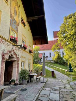 kl-Gams in Alpenrose1_Foto H. Reiter