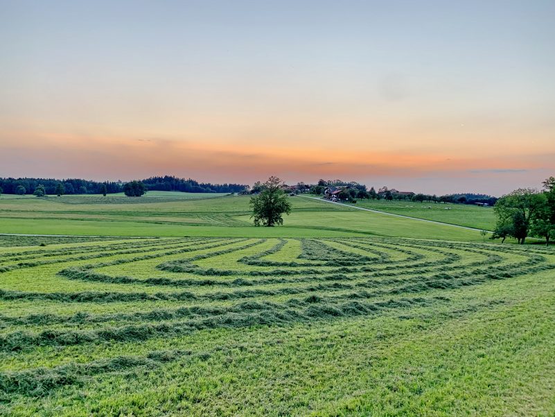 1Feierabend Heuernte 3