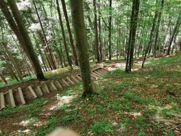 Baumgartenschneid (2)