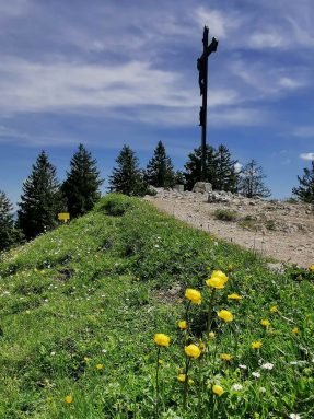 Baumgartenschneid (5)