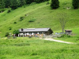 Röthelmoosalm-Wanderung