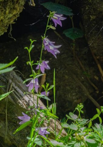 Salzburger Sonnenterrasse