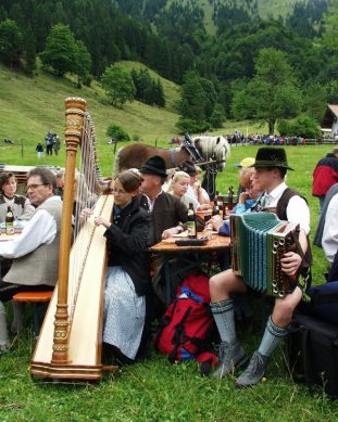 Harfe und Ziach auf der Alm