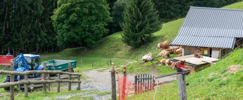 Salzburger Sonnenterrasse