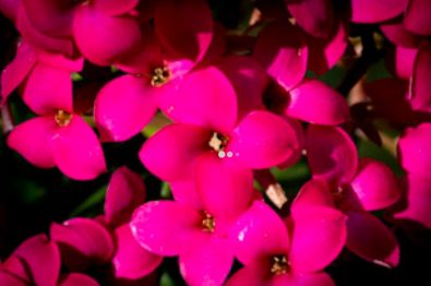 Salzburger Sonnenterrasse