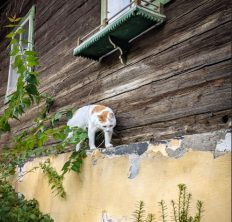 Salzburger Sonnenterrasse