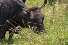 Salzburger Sonnenterrasse