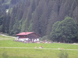 Röthelmoosalm-Wanderung