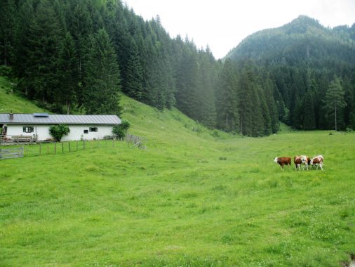 Röthelmoosalm-Wanderung