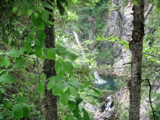 Röthelmoosalm-Wanderung