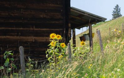 Salzburger Sonnenterrasse