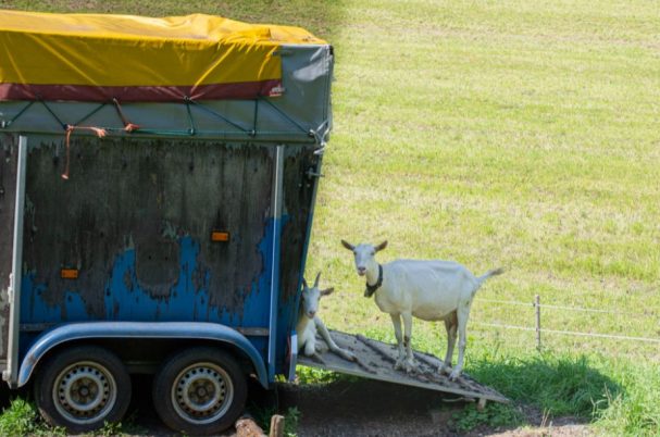 Salzburger Sonnenterrasse