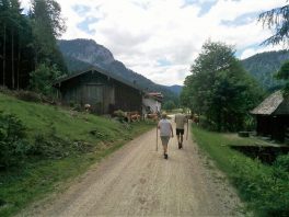 Röthelmoosalm-Wanderung