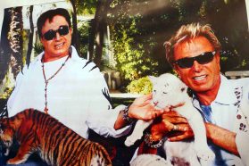 kl-Siegfried und Roy - Banner