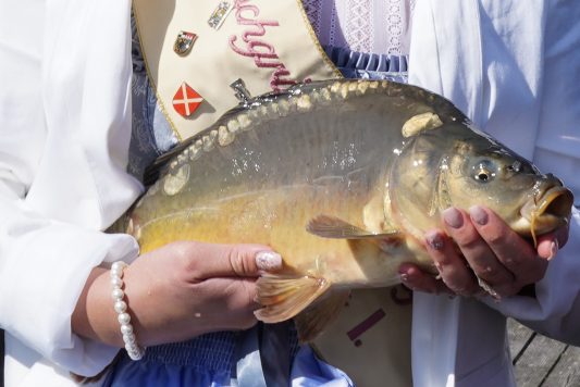 2021-09-01_Karpfensaisoneröffnung-TSM00493_Pia Regnet