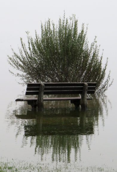 20210903063410_IMG_3164