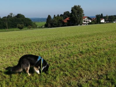 33e24096-ade0-43b4-b8b2-639a5d1b17b6