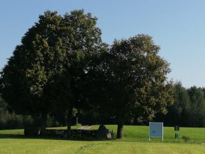 9b62a898-7179-407c-9c02-03bcfe836677