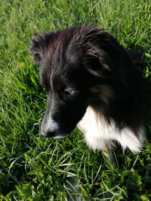 9d5d82b2-d10a-41a4-a398-08def4cbe077