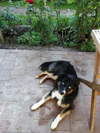 bc31717d-060b-4da8-990b-d94efc7d36c5