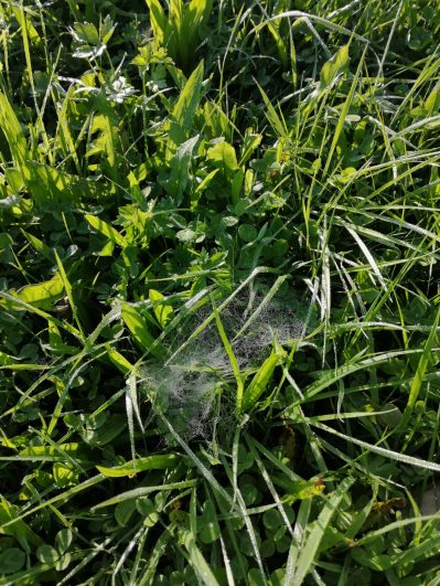 c69ce450-d7ce-4cf3-8a3d-7b1c67c0948a