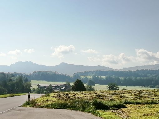 cce9be61-ec63-4e4d-866c-23bddc01c1f5