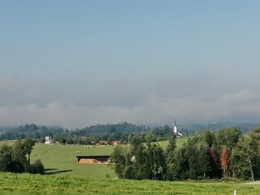 e098e731-e16e-4b99-827d-ed8978b19b34