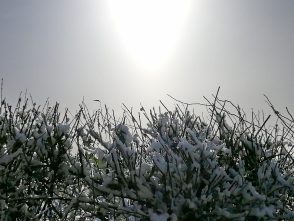 2b2f74f6-9c02-489c-9e14-6bfd8987fe29