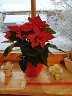 d4edc583-f59a-4d3a-a381-339690c52b97