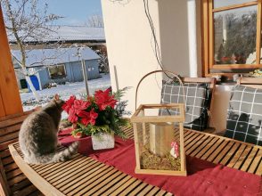 edefb6a4-b641-4a5b-9d58-9554664d0480