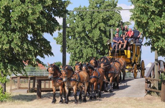 titanen der rennbahn (1)