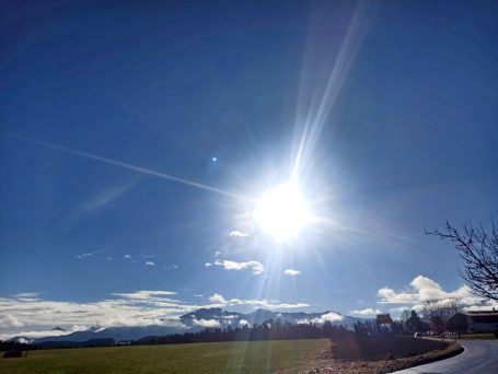 1.12.21.-Morgenstimmung Alexandra