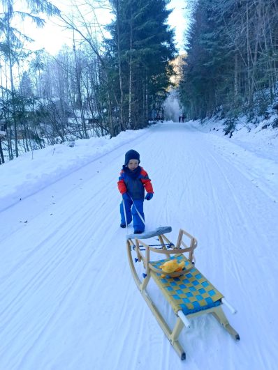 1Schlitten Sachrang 2