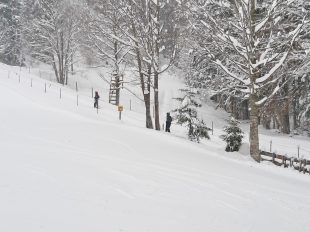 20211211_135924_resized