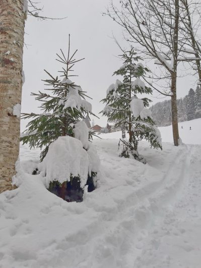 20211211_145606_resized