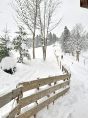 20211211_145630_resized