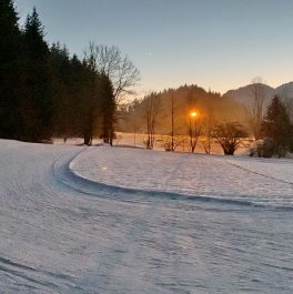 269598593_4614379031978564_7932060802137828585_n